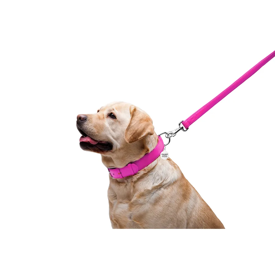 Повідець WAUDOG Glamour шкіряний 25 мм x 122 см рожевий для собак L-XXL