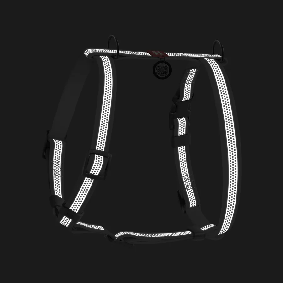 Шлея анатомічна WAUDOG Waterproof 20 мм Collartex М 40-66 см сірий