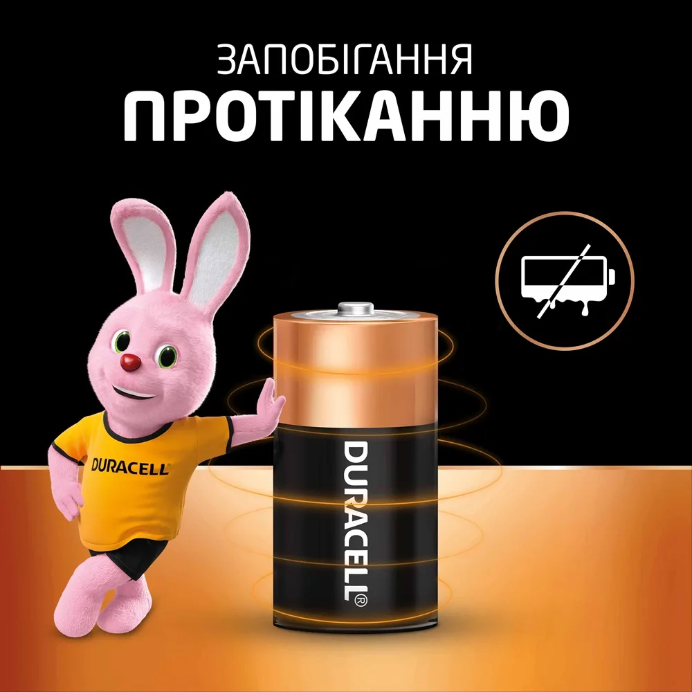 Лужні батарейки Duracell C 2 шт 1,5 В