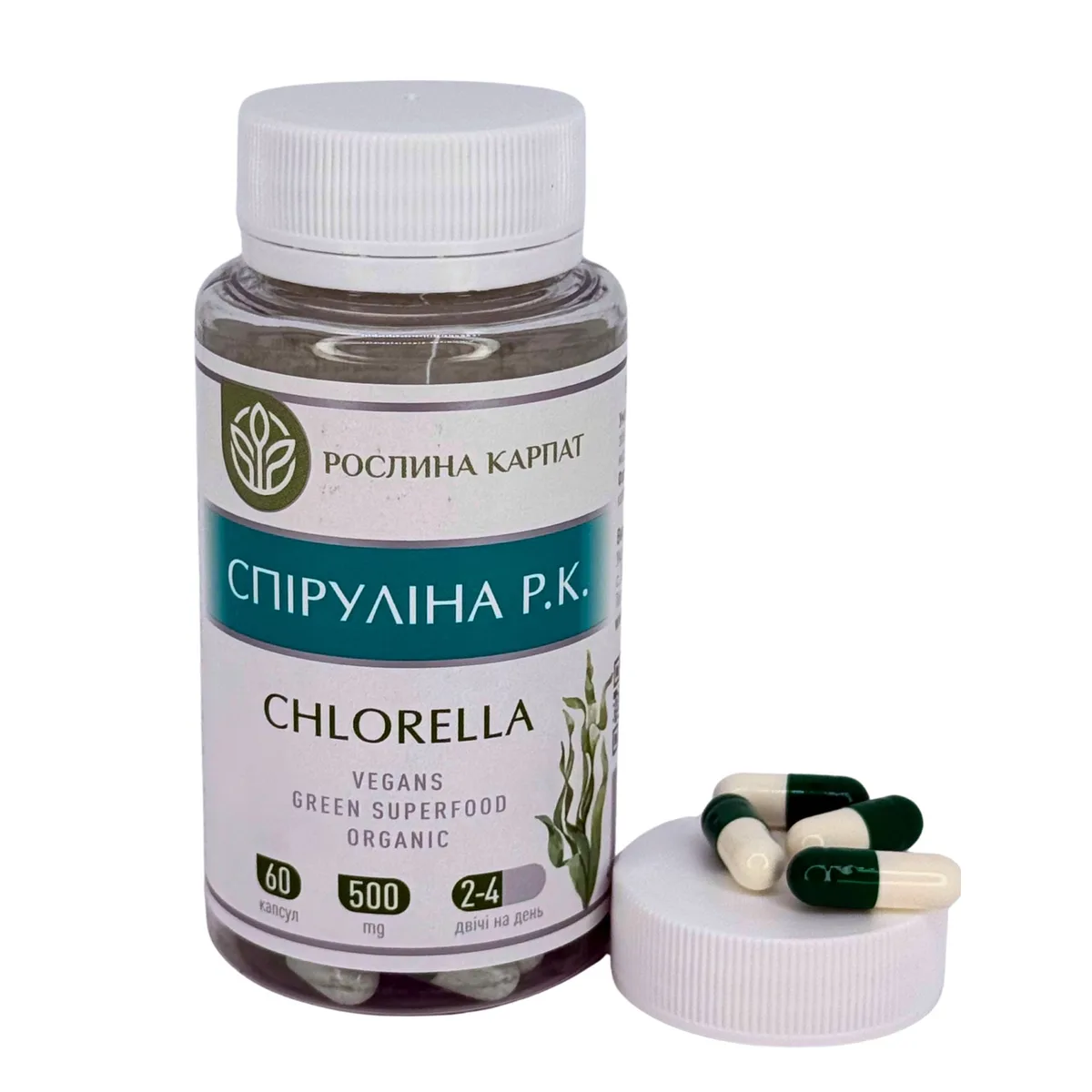 Спіруліна Chlorella – суперфуд для енергії, очищення та здоров’я Рослина Карпат