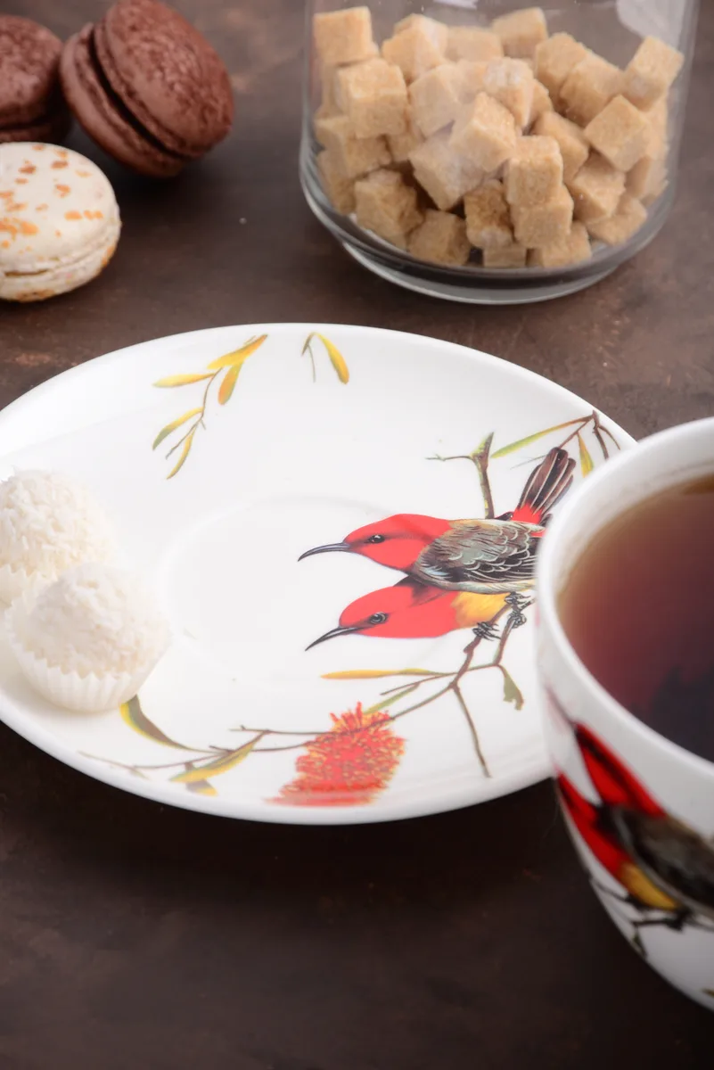 Чашка з блюдцем Limited Edition Bird порцеляна 550 мл біла