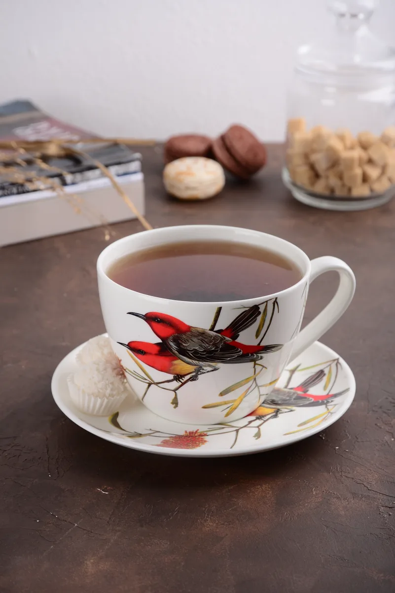 Чашка з блюдцем Limited Edition Bird порцеляна 550 мл біла