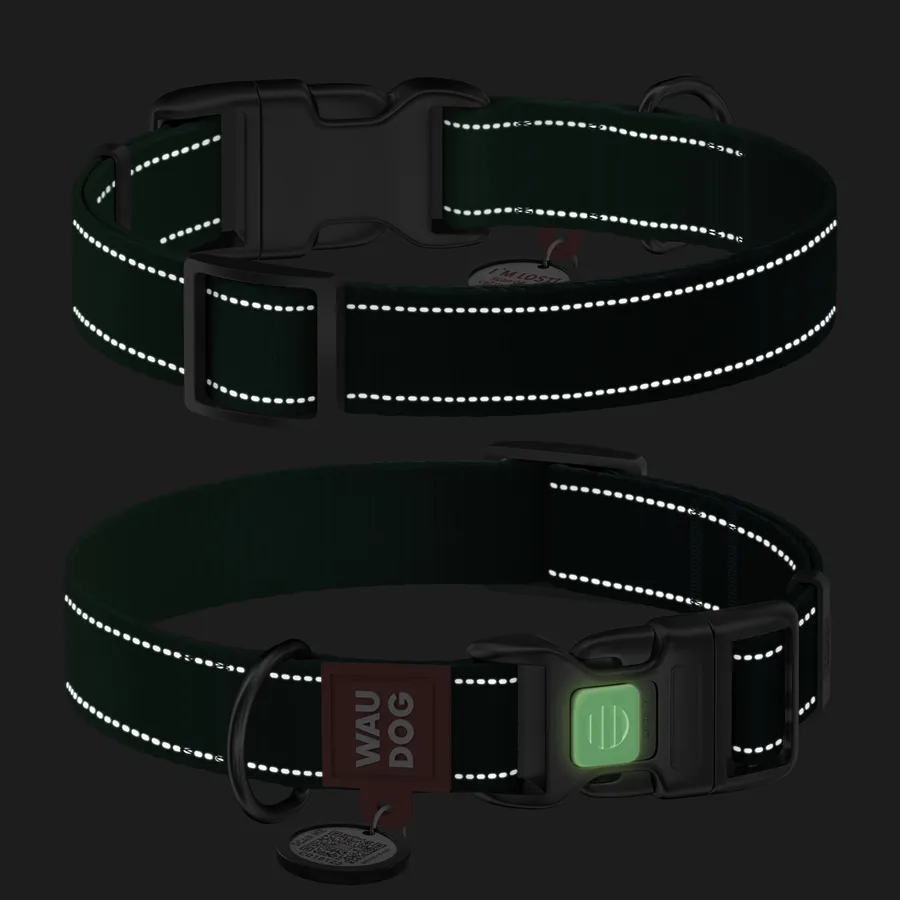 Нашийник WAUDOG Nylon Mono світловідбивний нейлоновий 25 мм 37-58 см зелений XL