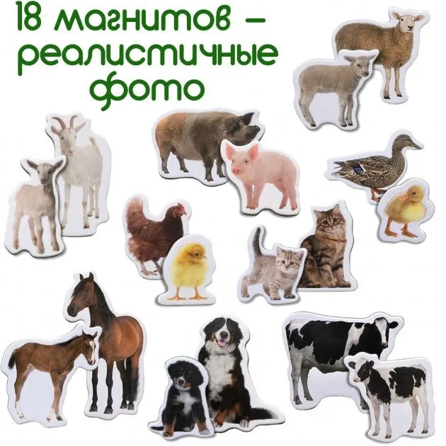 Набір магнітів Magdum 18 фігурок великих безпечних 12х17х3,7 см Ферма Мами і малюки