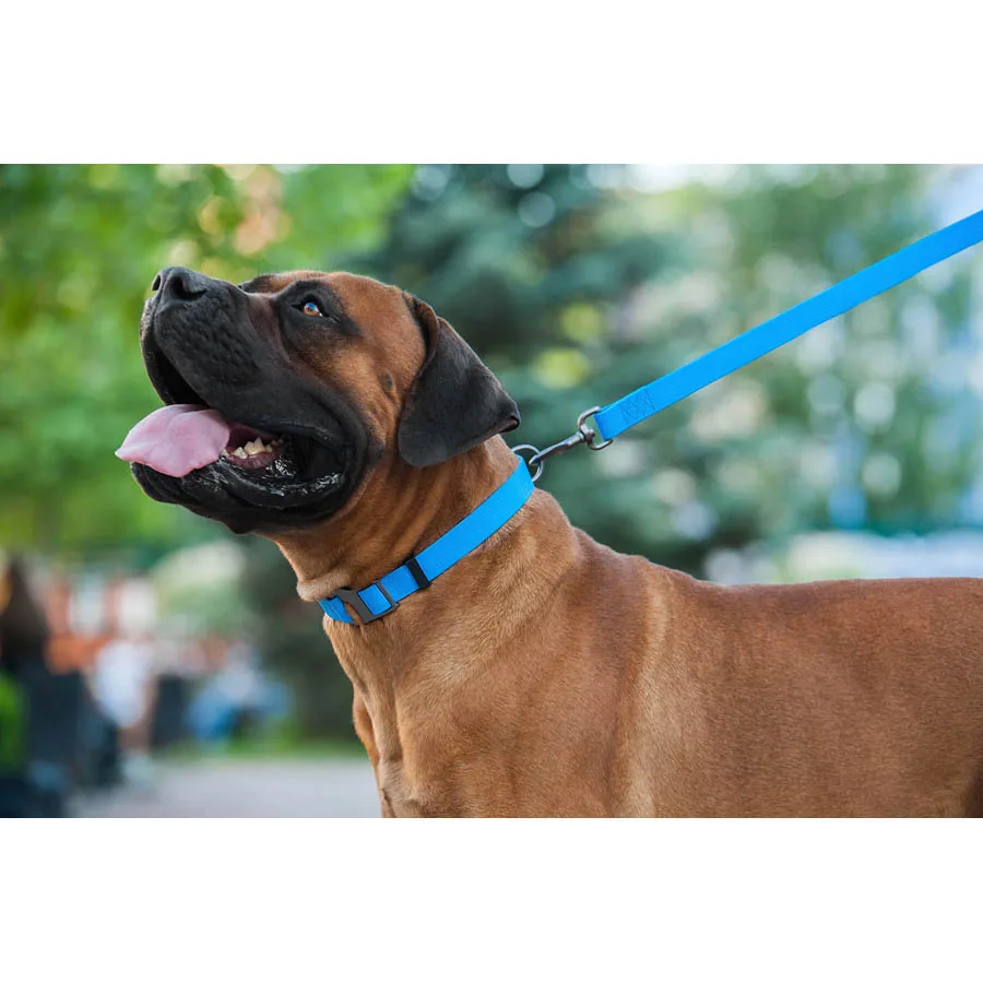 Поводок WAUDOG Waterproof 20мм x 122см Collartex голубой