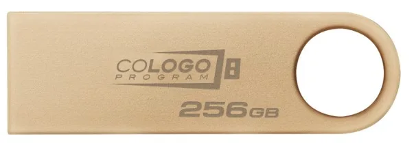 Флешка Kingston 256 ГБ USB 3.2 Металевий корпус Золотий