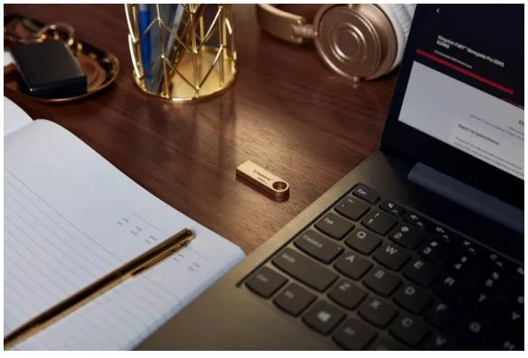 Флешка Kingston 256 ГБ USB 3.2 Металевий корпус Золотий