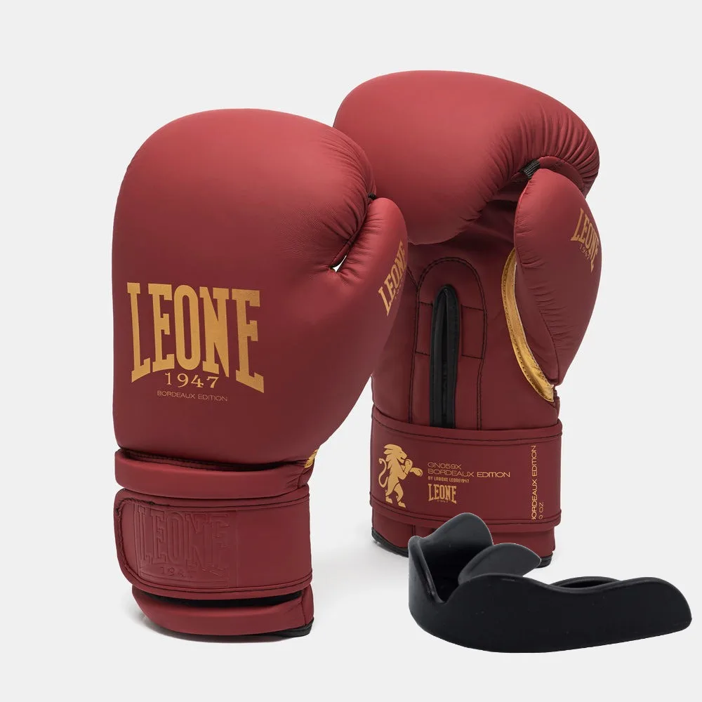 Боксерські рукавиці Leone штучна шкіра 10 унцій бордові з капою