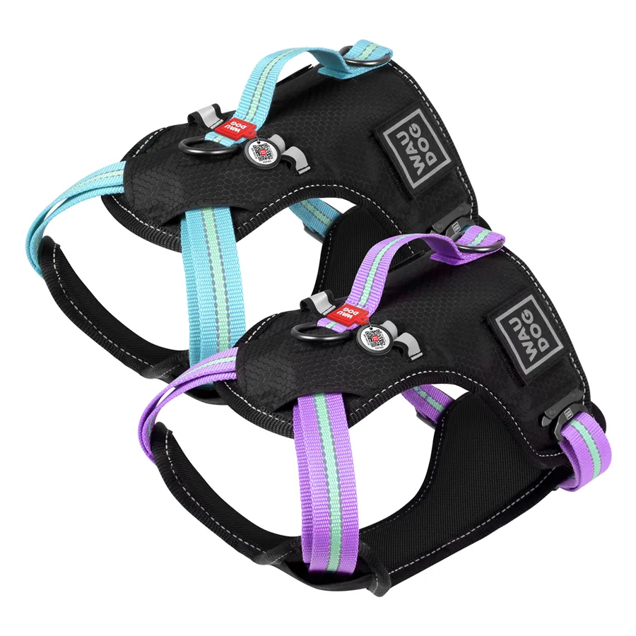 Шлея WAUDOG Nylon S 20 мм 35-60 см нейлонова блакитна металева пряжка