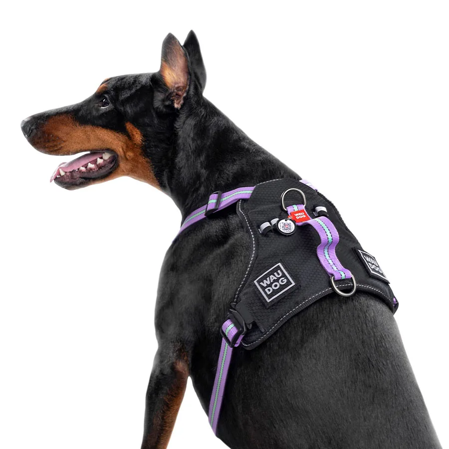 Шлея WAUDOG Nylon M 20 мм 45-70 см 60-80 см фіолетова
