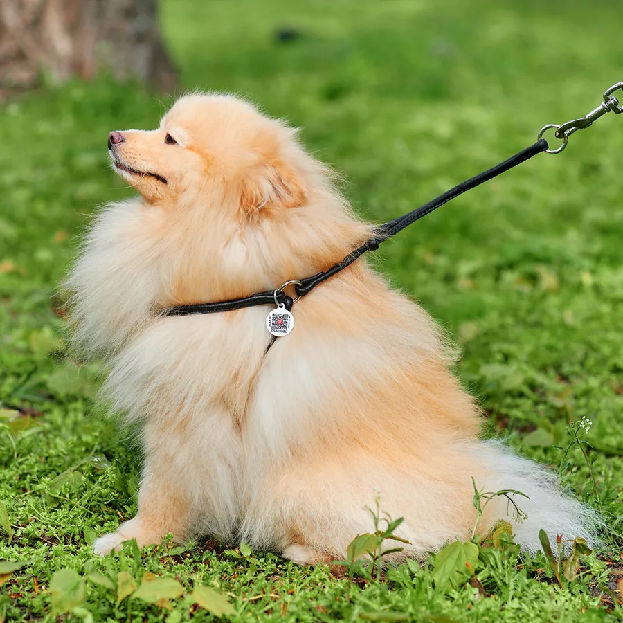 Шлея з повідцем WAUDOG Soft 6 мм шкіряна 42-60 см чорна