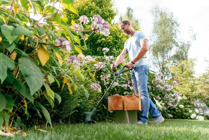 Газонокосилка Bosch EasyGrassCut 26, мощность 280 Вт, ширина скашивания 26 см, вес 19 кг