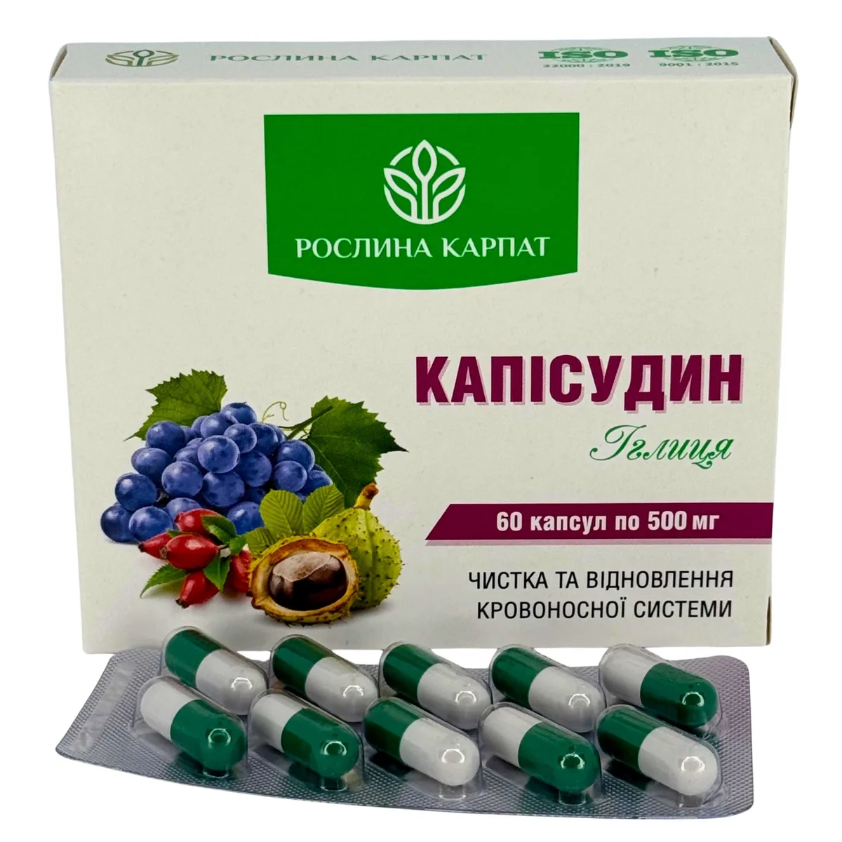 Капісудин  – для очищення судин та покращення кровообігу Рослина Карпат