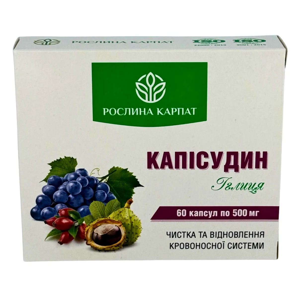 Каписудин  – для очищения сосудов и улучшения кровообращения Рослина Карпат