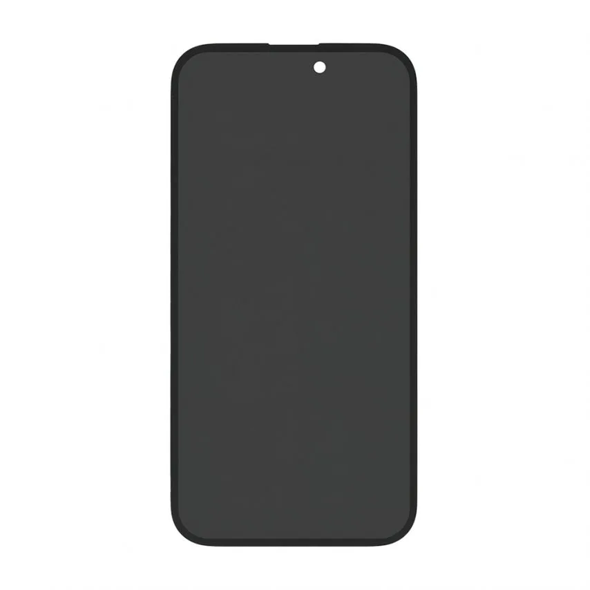 Дисплей LCD Apple Oled GX 6,1 дюйм чорний Original Quality