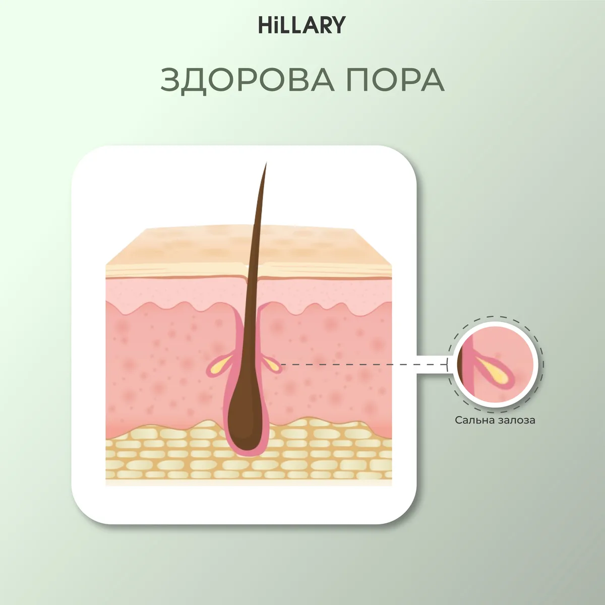 Сонцезахисний крем для обличчя SPF 50 + Набір для догляду за шкірою обличчя нормального типу
