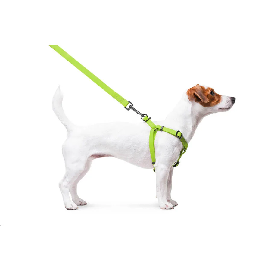 Шлея WAUDOG Waterproof 15 мм Collartex S 40-55 см салатова з металевою пряжкою