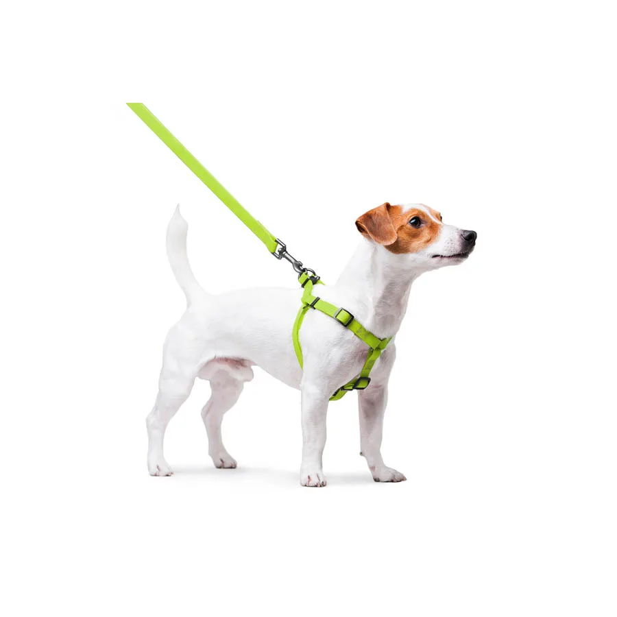 Шлея WAUDOG Waterproof 15 мм Collartex S 40-55 см салатова з металевою пряжкою