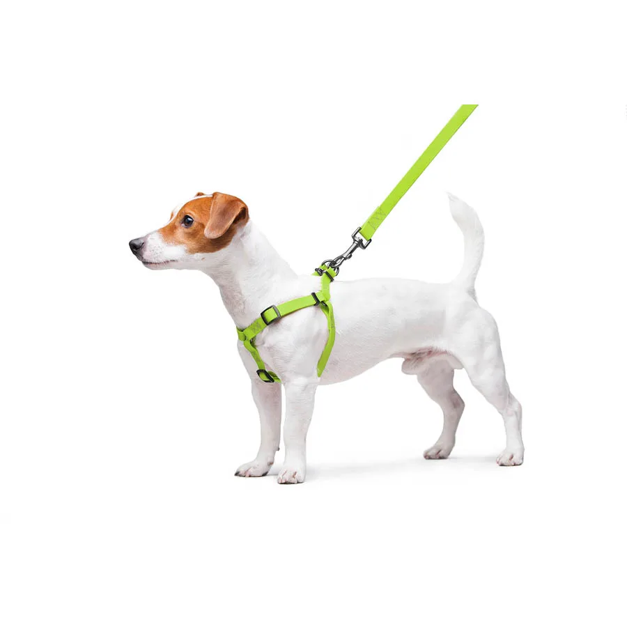 Шлея WAUDOG Waterproof 15 мм Collartex S 40-55 см салатова з металевою пряжкою