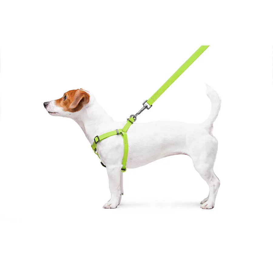 Шлея WAUDOG Waterproof 15 мм Collartex S 40-55 см салатова з металевою пряжкою