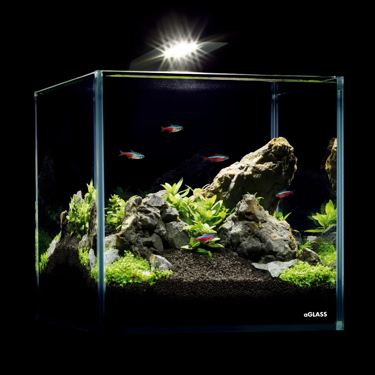 Аквариумный набор 10 л AquaLighter Nano Стекло 22х22х22 см Черный