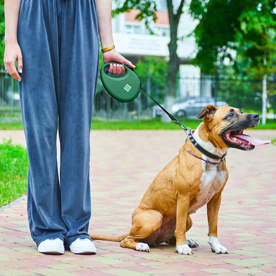 Повідець-рулетка WAUDOG R-leash L 500 см пластик зелений з контейнером для пакетів
