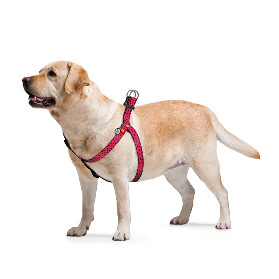 Шлейка анатомическая WAUDOG Nylon 15 мм 40-55 см Нейлон Арбуз