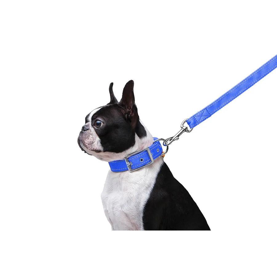 Повідець Dog Extreme 20мм x 122см нейлоновий блакитний