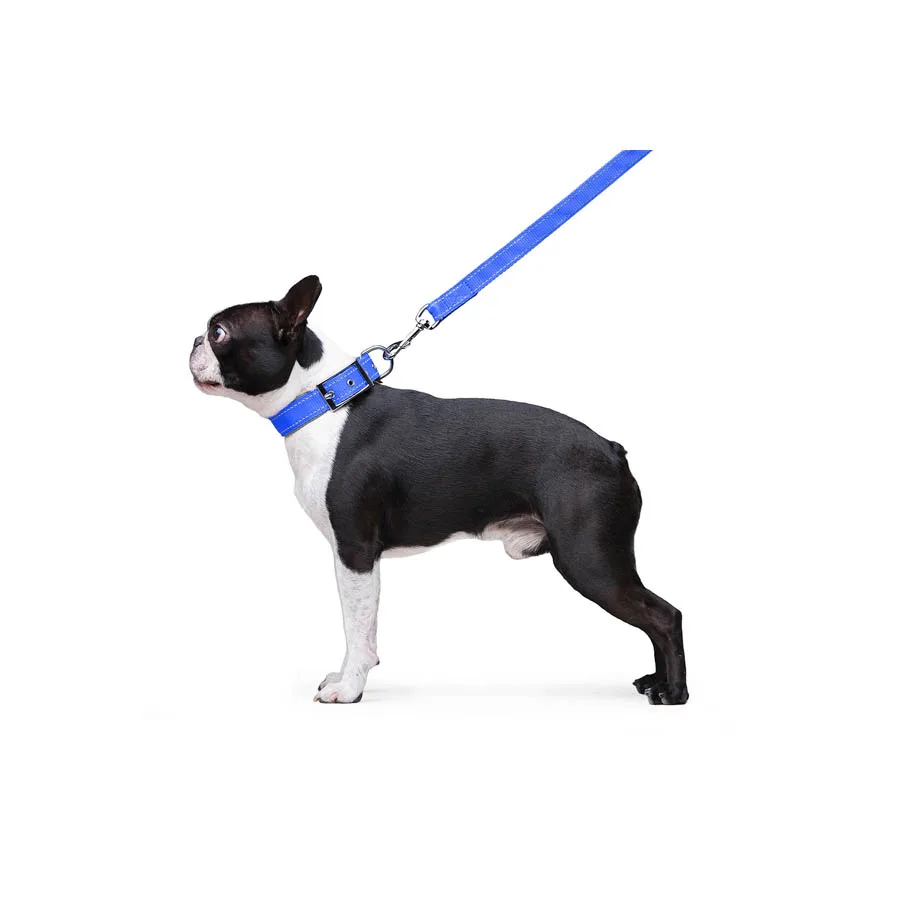 Повідець Dog Extreme 20мм x 122см нейлоновий блакитний
