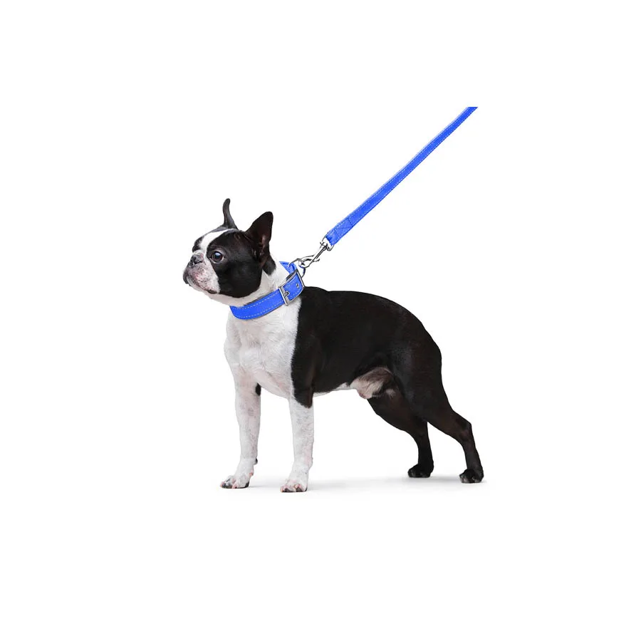 Повідець Dog Extreme 20мм x 122см нейлоновий блакитний
