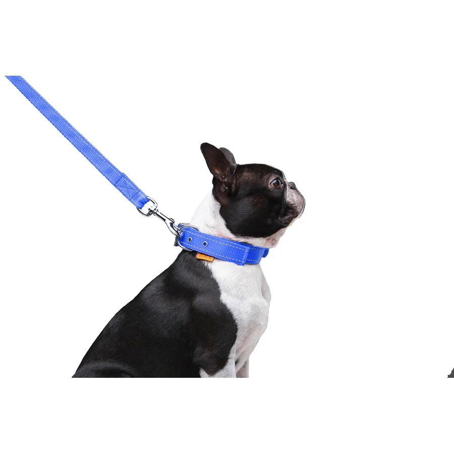 Повідець Dog Extreme 20мм x 122см нейлоновий блакитний