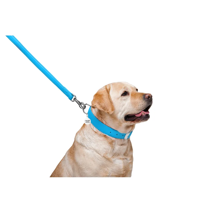 Поводок WAUDOG Glamour кожаный 25х122 см голубой