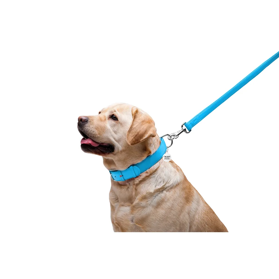 Поводок WAUDOG Glamour кожаный 25х122 см голубой