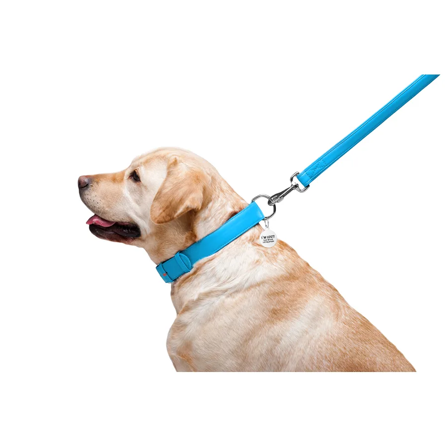Поводок WAUDOG Glamour кожаный 25х122 см голубой