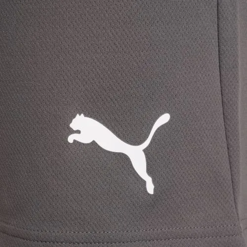 Шорти Puma 100% поліестер M сірі чоловічі для футболу