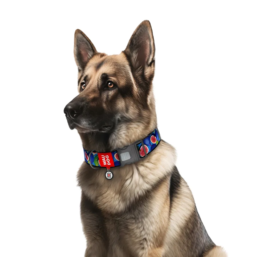 Нашийник WAUDOG Nylon XXL 35 мм нейлоновий з QR паспортом 46-70 см малюнок Інжир