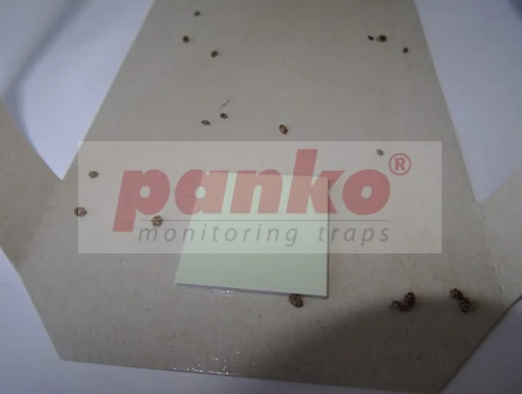 Ловушка пищевых жучков Panko 215х100 мм Клеевая 2 шт