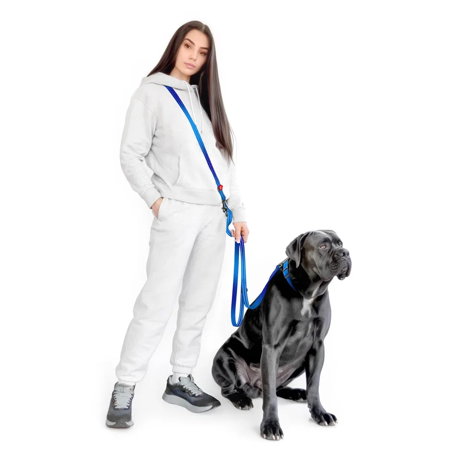 Повідець-перестібка WAUDOG Nylon Mono 20 мм x 300 см нейлон світловідбивний синій