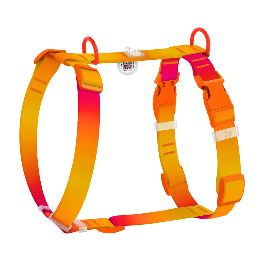 Шлея H-подібна WAUDOG Nylon Recycled 15 мм S 30-45 см помаранчева