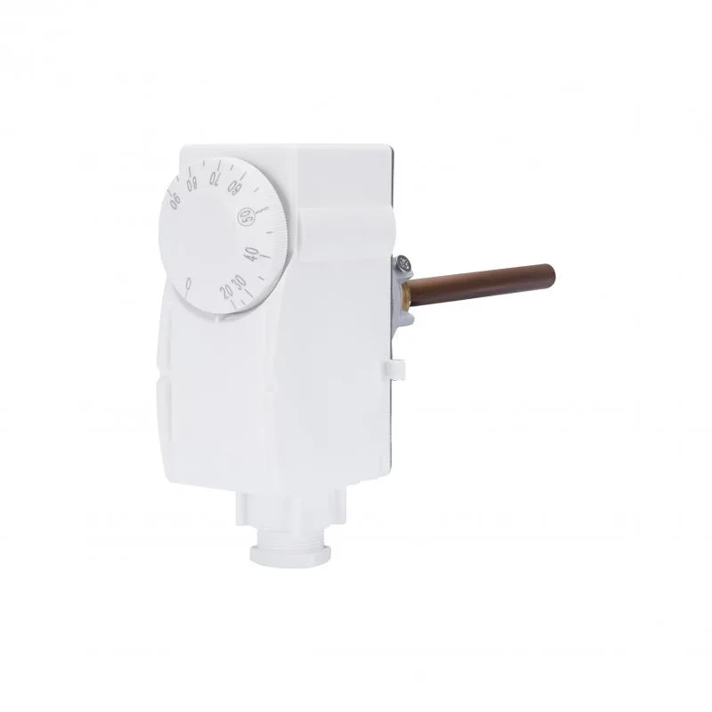 Термостат погружний 1/2" Thermo Alliance SD348 0-90 °C зовнішня різьба 40х160х110 мм