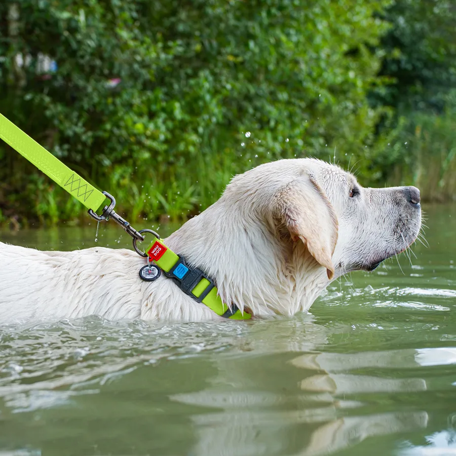 Нашийник WAUDOG Waterproof 25 мм x 38-58 см Collartex салатовий