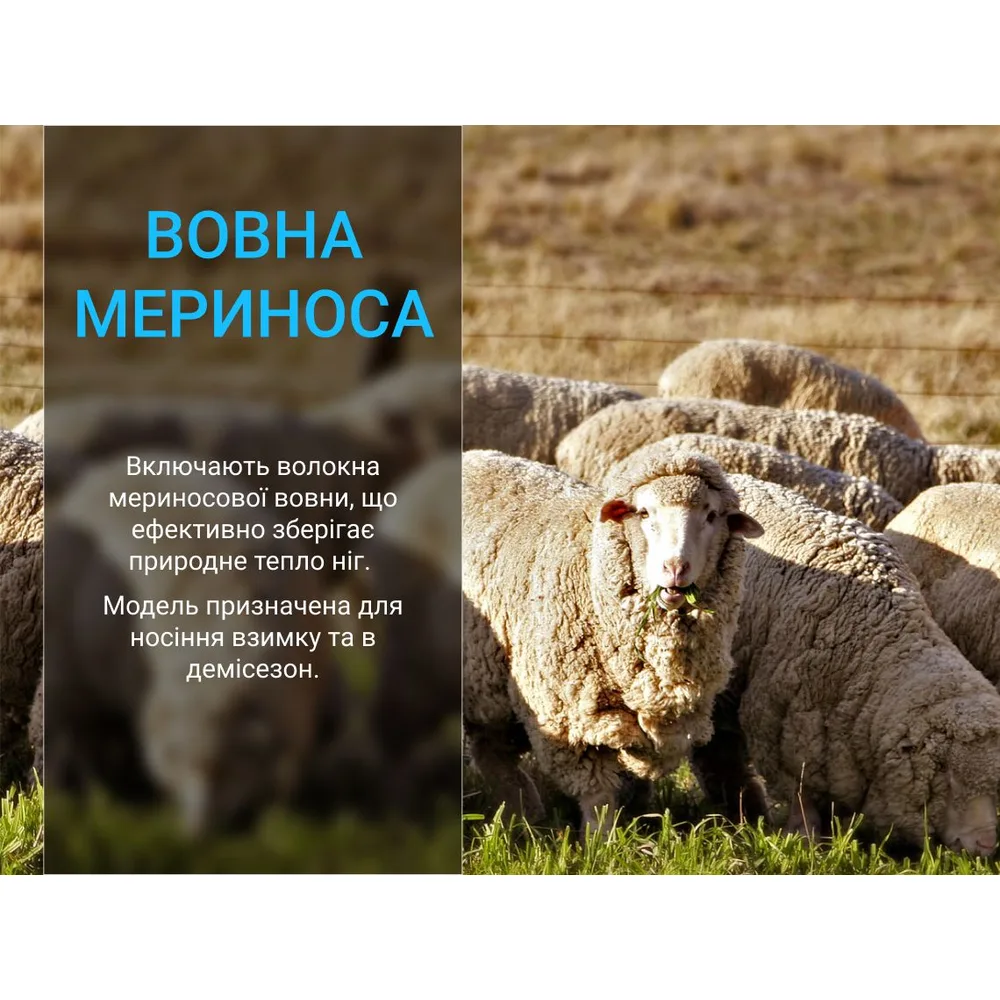 Шкарпетки Dexshell водонепроникні мериносова шерсть S чорні з сірим