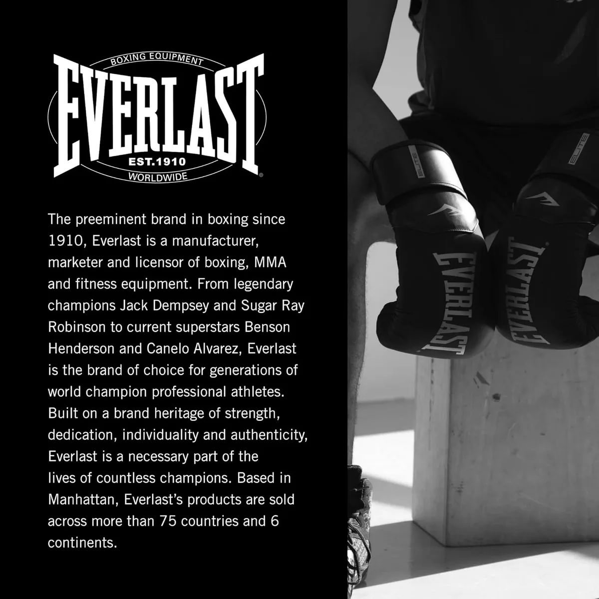 Боксерські рукавиці Everlast 12 унцій поліуретан червоні унісекс