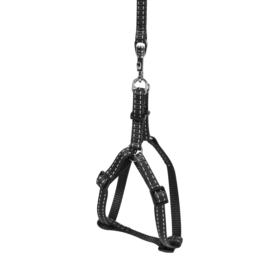 Шлея з повідцем Dog Extreme регульована нейлонова 40-55 см чорна