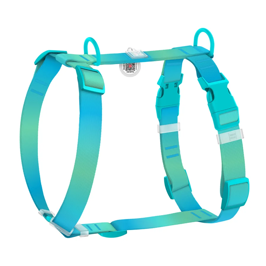 Шлея H-подібна WAUDOG Nylon Recycled 25 мм 60-100 см блакитна