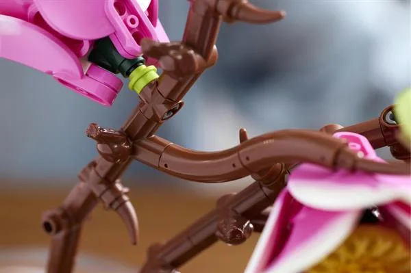 Конструктор LEGO Botanicals Гілки магнолії 435 деталей 26х28х6 см Білий Рожевий