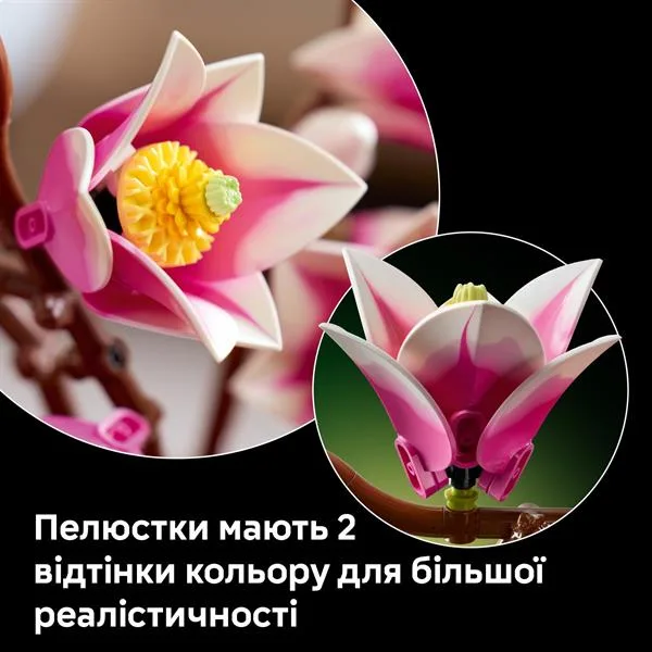 Конструктор LEGO Botanicals Гілки магнолії 435 деталей 26х28х6 см Білий Рожевий