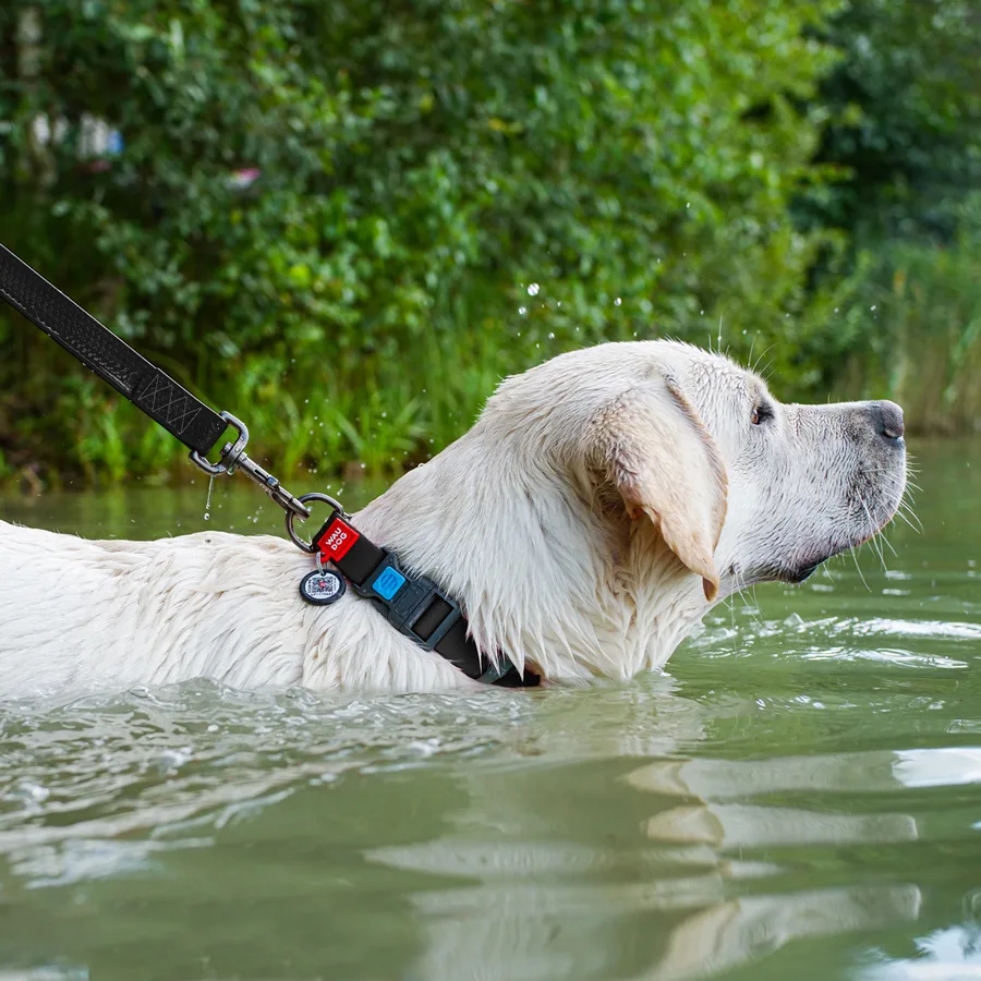 Нашийник WAUDOG Waterproof 25 мм x 38-58 см пластик чорний