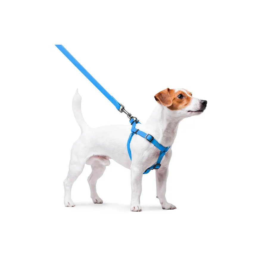 Шлея WAUDOG Waterproof 15 мм Collartex 40-55 см блакитна