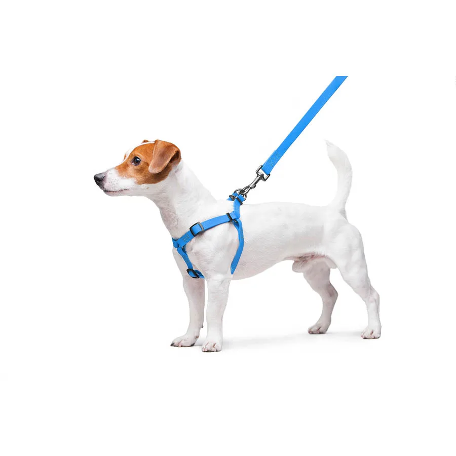 Шлея WAUDOG Waterproof 15 мм Collartex 40-55 см блакитна